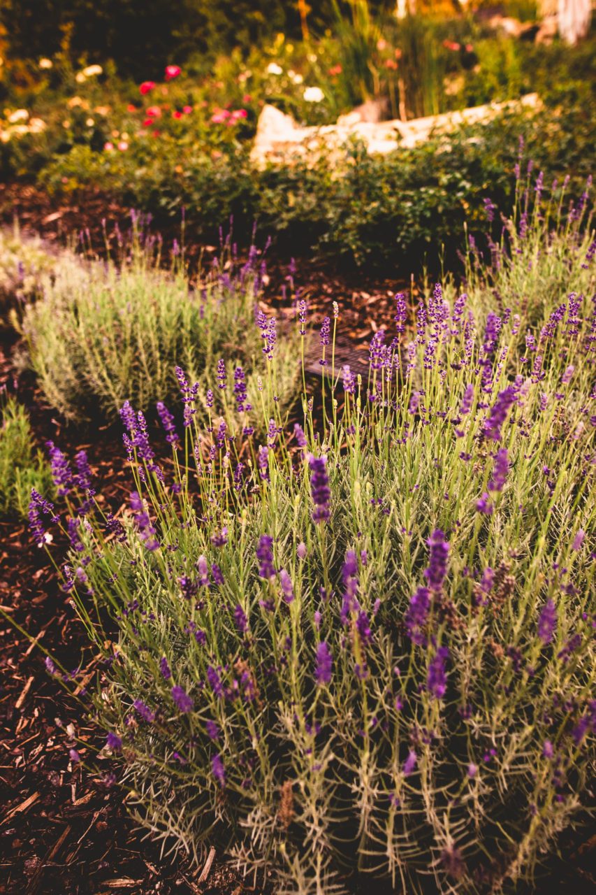 Svadobny fotograf - Svadobna foto - Svadobny fotograf Holíč Skalica - Hotel Sv. Ludmila - Svadobny fotograf Bratislava - Modra - Piestany - Nove Mesto - Rajecke Teplice -9295