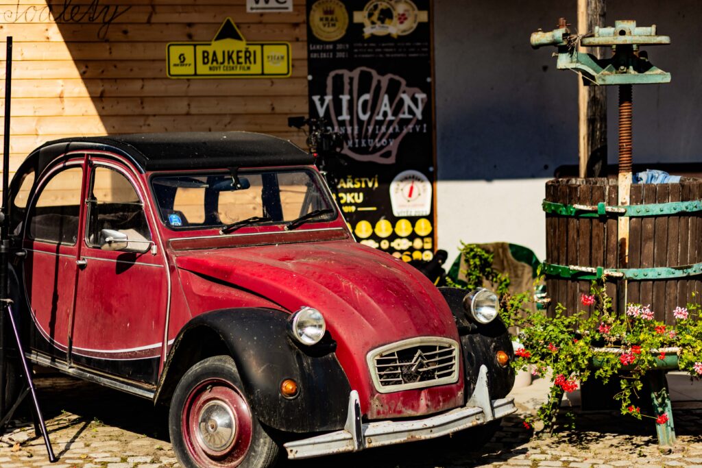 Svatba ve Vinarstvi Vican - svatba na Palave- svatba v Mikulove-Vianrstvi-Vican-svatebni-cenik-Valtice-Lednice-8761